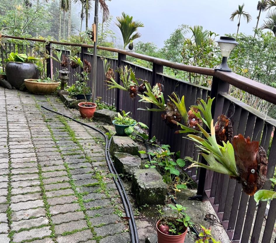 仲明居zhong Ming Ju Taoyi Fang Bed and Breakfast Fanlu Exteriör bild